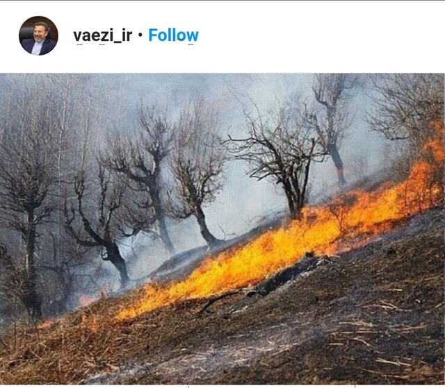 واعظی: گزارش جامع آتش‌سوزی «خائیز» برای رئیس‌جمهوری ارسال می‌شود