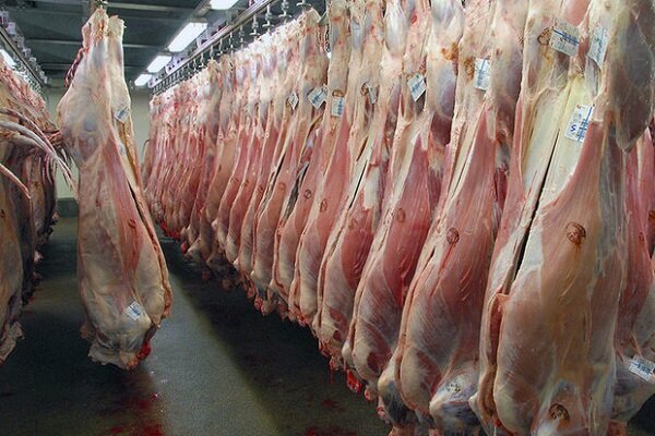 توزیع گوشت قرمز منجمد در سامانه ستکاوا آغاز شد
