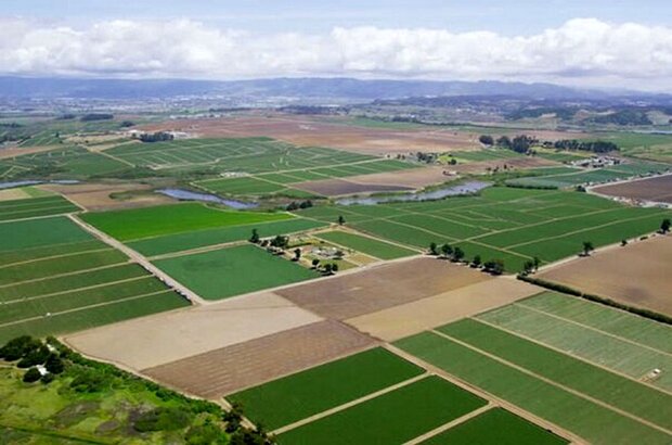صدور سند مالکیت اراضی کشاورزی هر هکتار ۵۰ هزار تومان