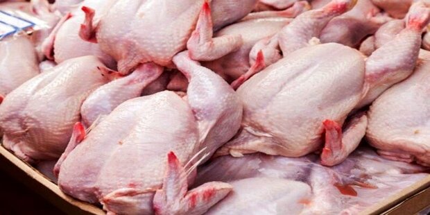 میانگین ۶۰ هزارتومانی قیمت گوشت مرغ / واردات ادامه دار گوشت قرمز