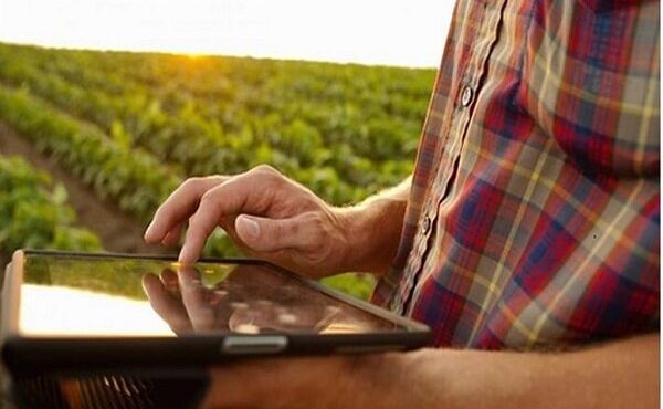مدیریت بازار کشاورزی به صورت دیجیتال ممکن شد