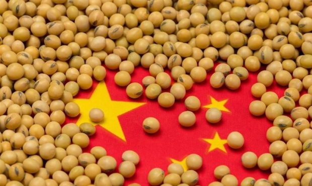استراتژی «چرخش دوگانه» و تاکتیک های امنیت غذایی چین