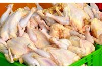 بازار نابسامان گوشت مرغ/ هر کیلو ۷۳ تا ۸۵ هزار تومان