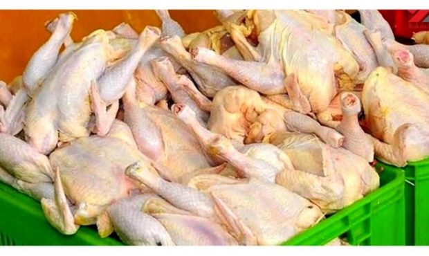 بازار نابسامان گوشت مرغ/ هر کیلو ۷۳ تا ۸۵ هزار تومان
