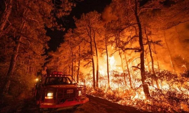 نابودی ۵۰۰۰ هکتار اراضی جنگلی در نیوجرسی بر اثر آتش سوزی