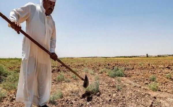 هزاران کشاورز عراقی به علت خشکسالی راه شهرها را در پیش گرفتند