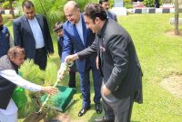 استقبال وزیرخارجه خارجه پاکستان از امیرعبداللهیان/کاشت درخت دوستی