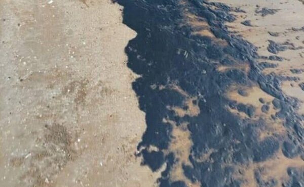 علت آلودگی نفتی بندر گناوه اعلام شد