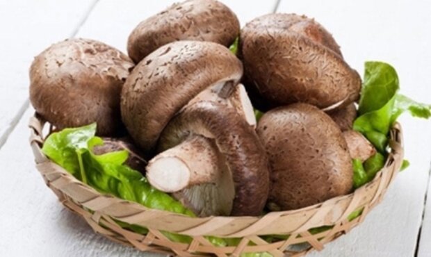 فیبر رژیمی موجود در قارچ به هضم غذا و کاهش وزن کمک می کند