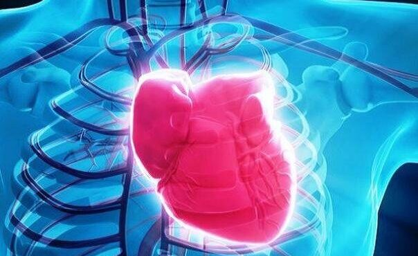 ضربه مغزی می تواند منجر به بروز مشکلات قلبی شود