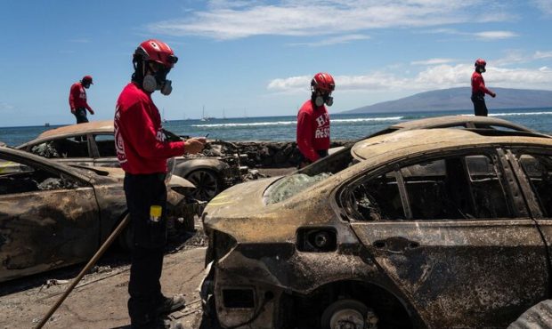 یک ماه پس از حریق هاوایی همچنان ۶۶ نفر مفقود هستند