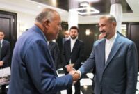وزیران خارجه ایران و مصر خواستار گسترش روابط دوجانبه شدند
