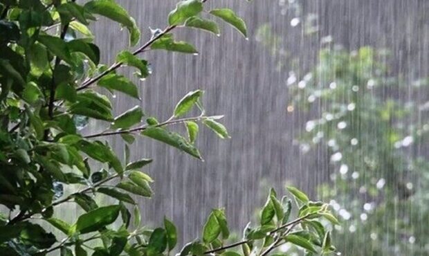 بارش باران در ۳ استان طی روز جاری