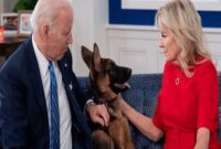 «ژرمن شپرد» سگ بایدن از کاخ سفید اخراج شد