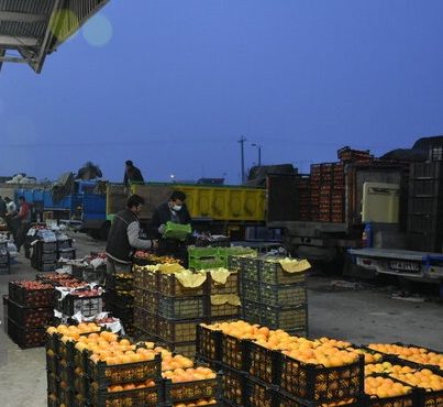 اعلام قیمت انواع میوه شب چله در میادین و بازارهای میوه و تره بار