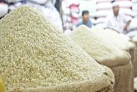 واردات برنج خارجی ۴۶ درصد کاهش یافت