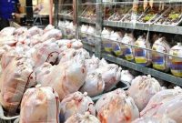 هرکیلو گوشت بوقلمون ۱۹۵هزار تومان درمیادین تره‌بار به‌فروش می‌رسد