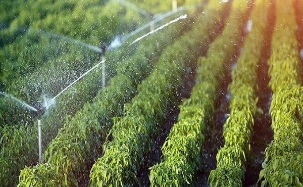 ساخت سامانه خودکار انتقال آب کشاورزی مبتنی بر اینترنت اشیا