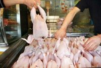 فراخوان تولید گوشت مرغ