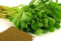 گیاهی که اختلال رشد کودک و اوتیسم را کاهش می‌دهد