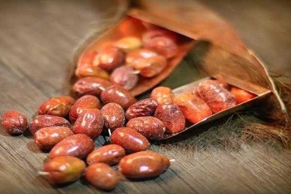 میوه‌ای که جای دارو را می‌گیرد؛ ۱۰ خاصیت شگفت‌انگیز سنجد