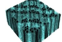 ابداع چوبی به قدرتمندی فولاد