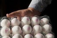 هر کیلو گرم تخم‌مرغ درب مرغداری حدود ۷۹ هزار تومان شد