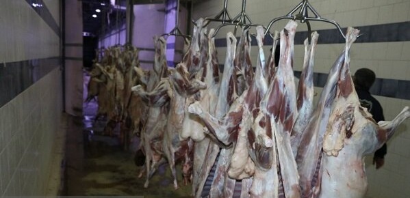 ثبت سفارش گوشت قرمز فردا آغاز می‌شود