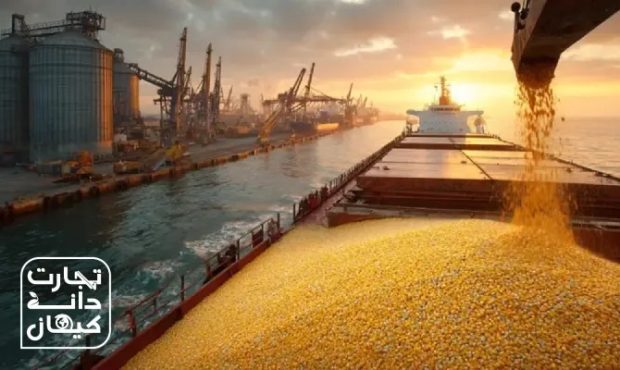 چگونه واردکنندگان معتبر، پایداری بازار نهاده‌های دامی را تضمین می‌کنند؟