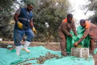 ماده ۴۱ قانون کار بر زمین مانده است