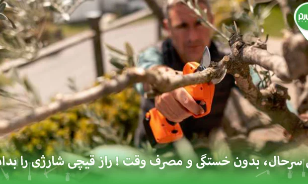 باغی سرحال، بدون خستگی و مصرف وقت ! راز قیچی شارژی را بدانید باغی سرحال، بدون خستگی و مصرف وقت ! راز قیچی شارژی را بدانید