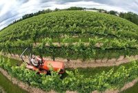 الگوی کشت لحظه‌ای رصد می‌شود