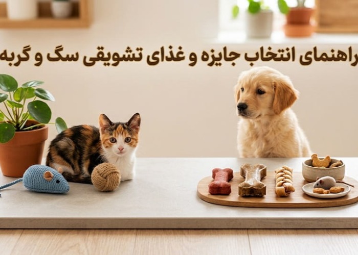 راهنمای انتخاب جایزه و تشویقی سگ و گربه