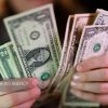 پذیره‌نویسی دومین صندوق درآمد ثابت ارزی آغاز شد